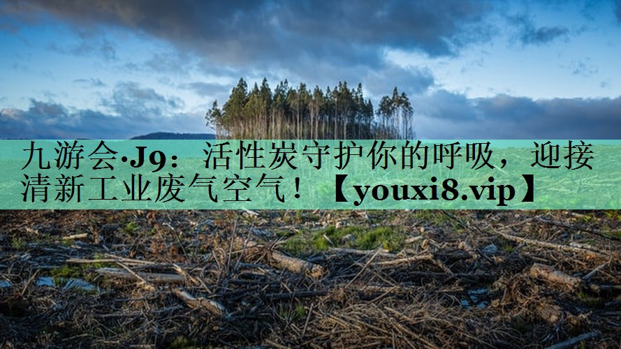 九游会·J9：活性炭守护你的呼吸，迎接清新工业废气空气！