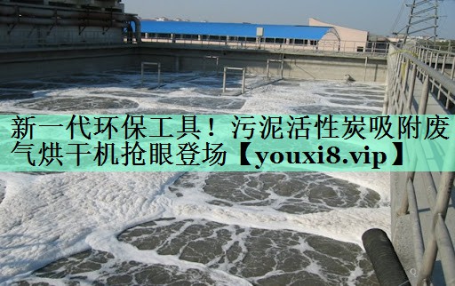 新一代环保工具！污泥活性炭吸附废气烘干机抢眼登场