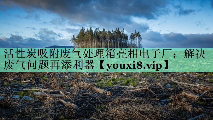 活性炭吸附废气处理箱亮相电子厂：解决废气问题再添利器