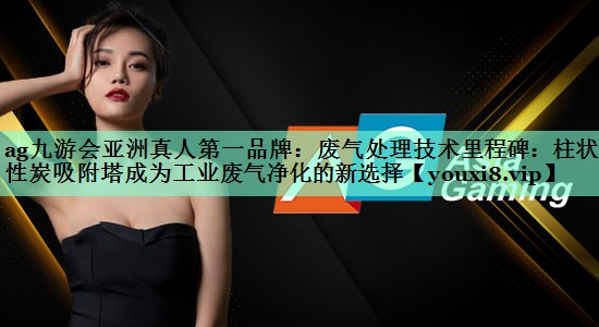 ag九游会亚洲真人第一品牌：废气处理技术里程碑：柱状活性炭吸附塔成为工业废气净化的新选择