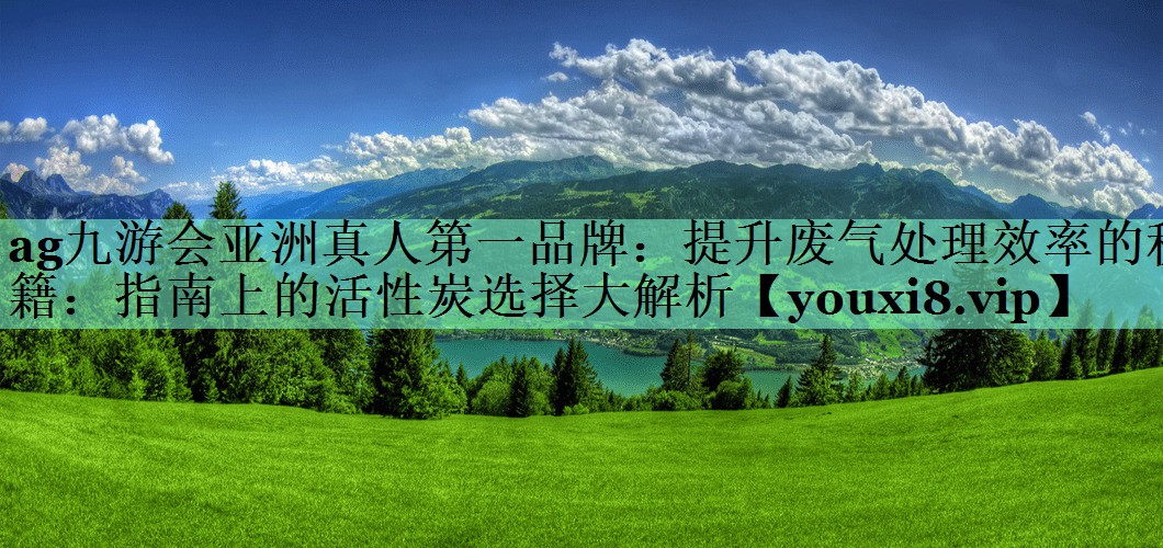 ag九游会亚洲真人第一品牌：提升废气处理效率的秘籍：指南上的活性炭选择大解析
