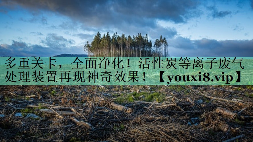 <strong>多重关卡，全面净化！活性炭等离子废气处理装置再现神奇效果！</strong>