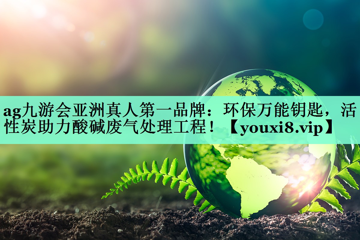 ag九游会亚洲真人第一品牌：环保万能钥匙，活性炭助力酸碱废气处理工程！
