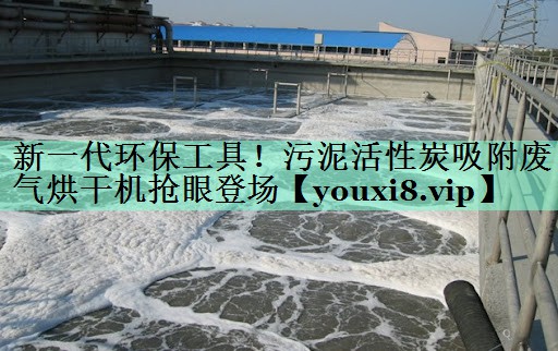 新一代环保工具！污泥活性炭吸附废气烘干机抢眼登场