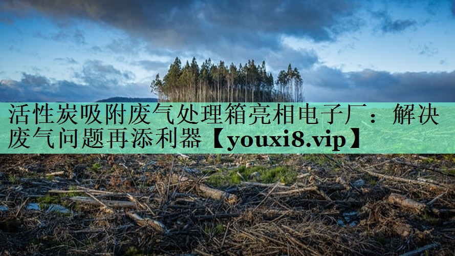 活性炭吸附废气处理箱亮相电子厂：解决废气问题再添利器