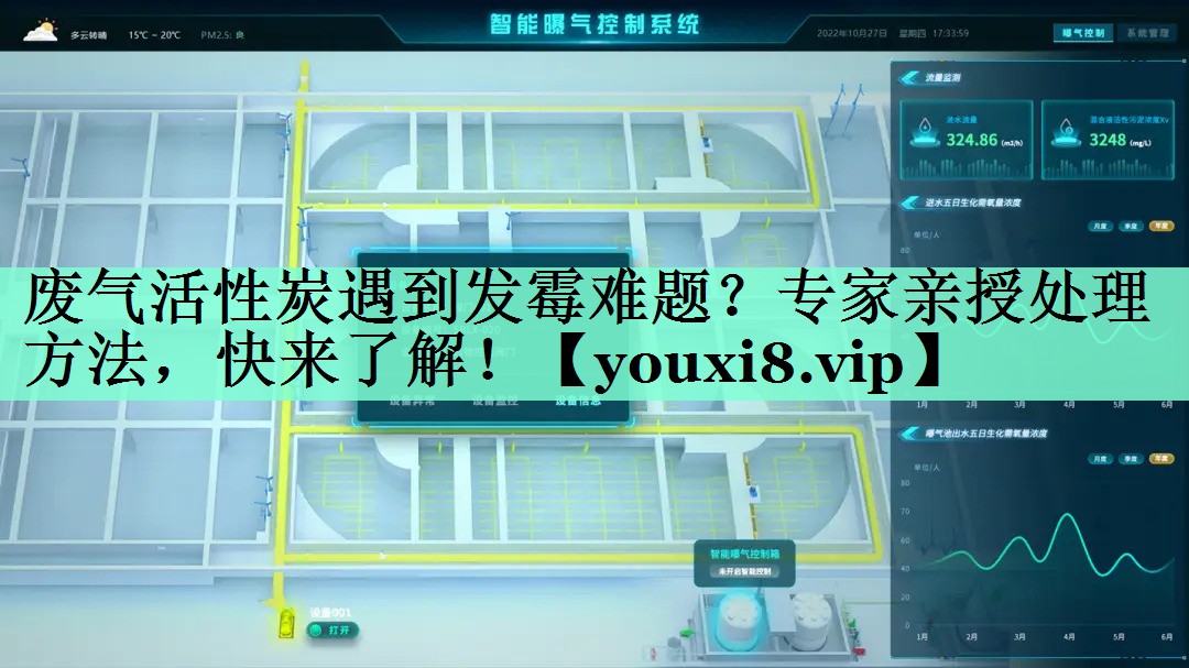 废气活性炭遇到发霉难题？专家亲授处理方法，快来了解！