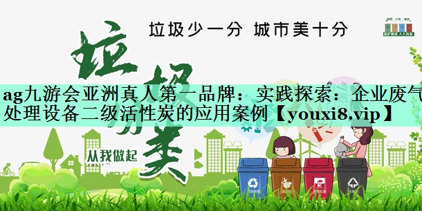 实践探索：企业废气处理设备二级活性炭的应用案例