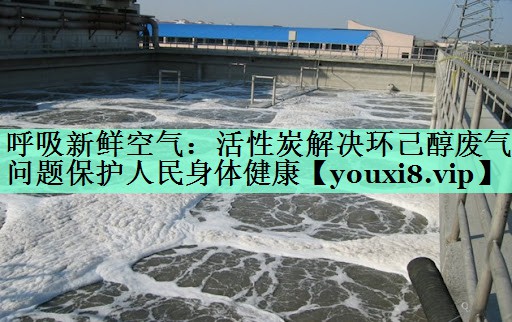 呼吸新鲜空气：活性炭解决环己醇废气问题保护人民身体健康