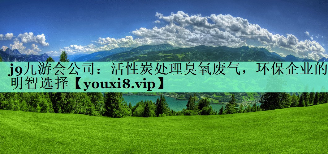 活性炭处理臭氧废气，环保企业的明智选择