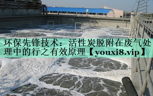 环保先锋技术：活性炭脱附在废气处理中的行之有效原理