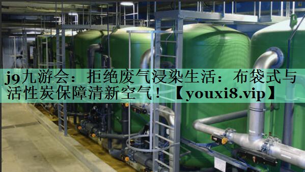 拒绝废气浸染生活：布袋式与活性炭保障清新空气！