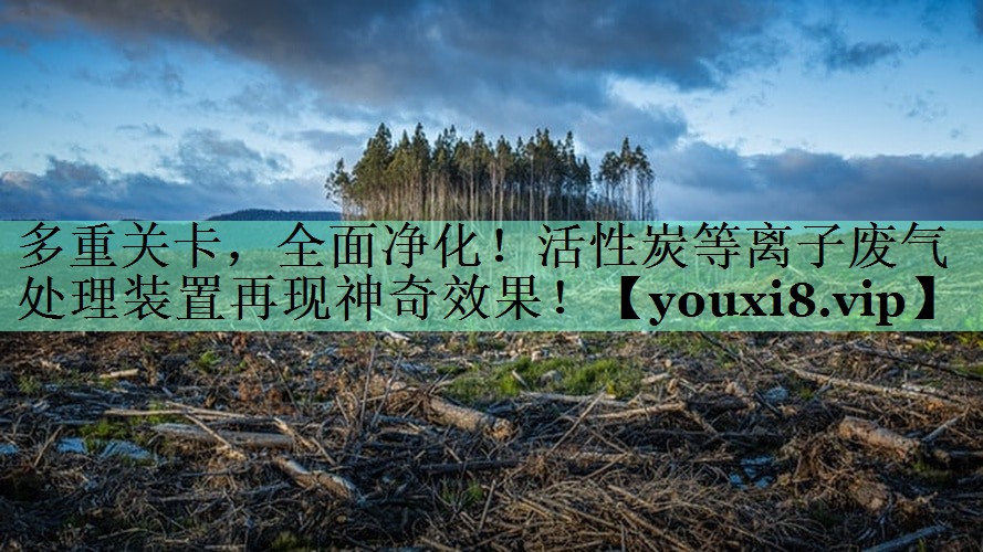 多重关卡，全面净化！活性炭等离子废气处理装置再现神奇效果！