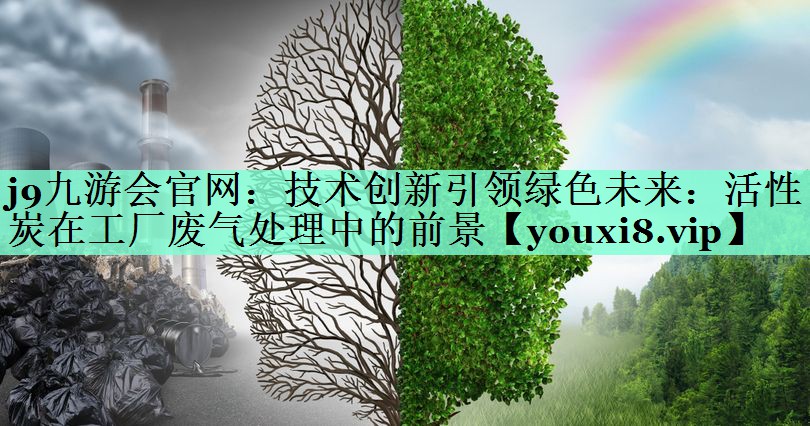技术创新引领绿色未来：活性炭在工厂废气处理中的前景