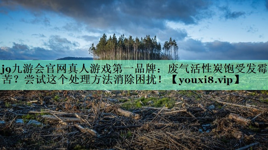 废气活性炭饱受发霉之苦？尝试这个处理方法消除困扰！